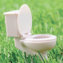 Stasatura water Firenze: 393 013 4697 - 055 395 1026