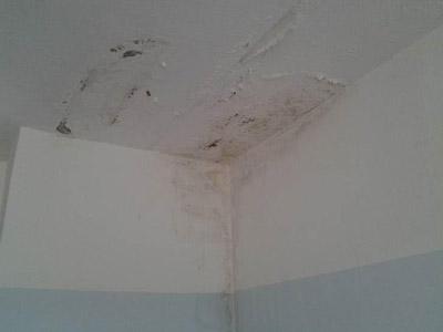 Risanare problemi umidità Firenze: 393 013 4697 - 055 395 1026