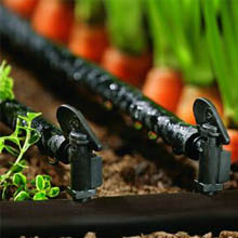 Sistemi di irrigazione Firenze: 393 013 4697 - 055 395 1026